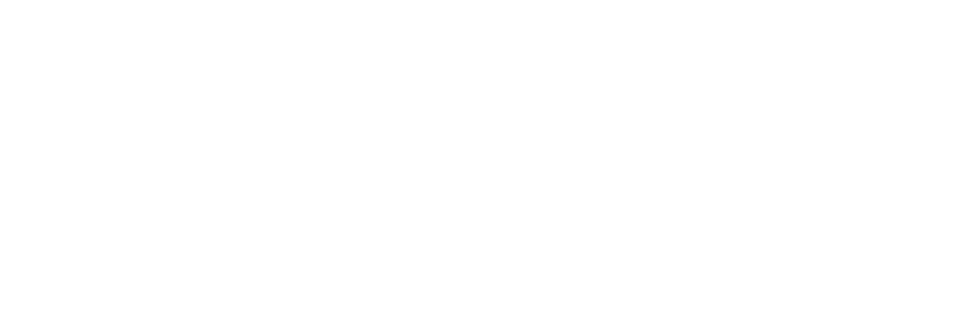 INGENIO Qualitas